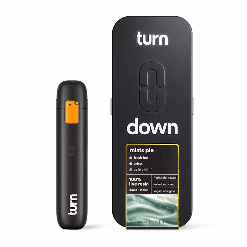 TURN DISPOSABLE TURN DISPOSABLE