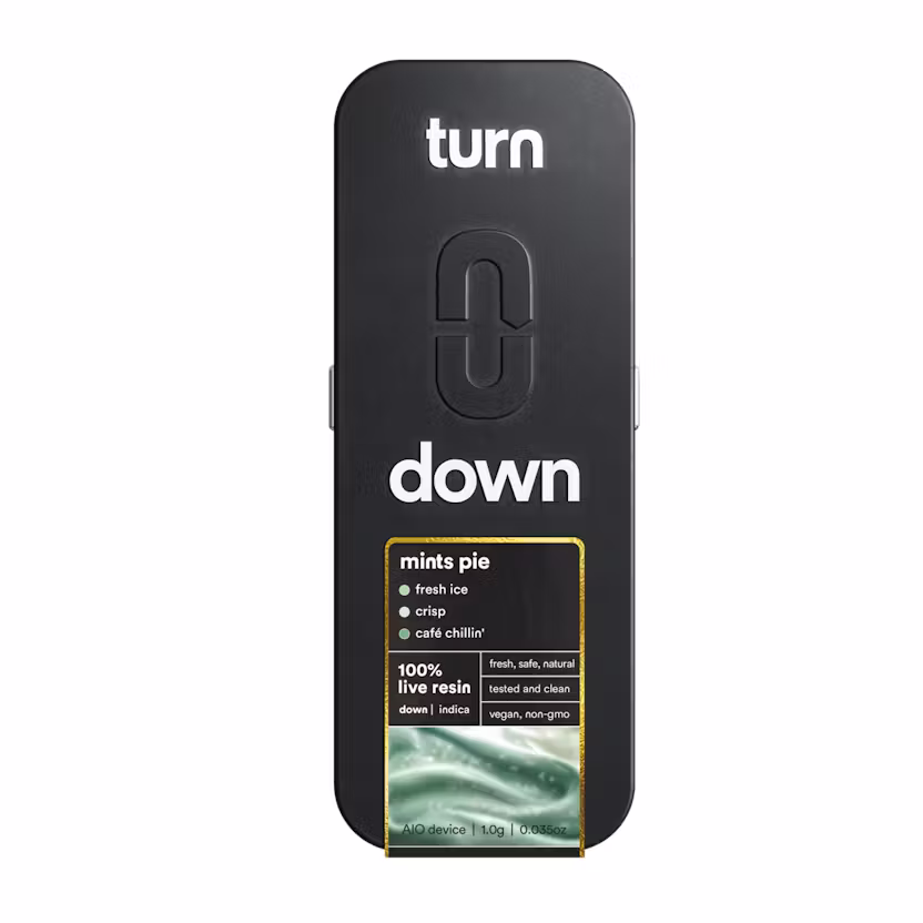 TURN DISPOSABLE TURN DISPOSABLE